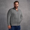 Stehkragen Zip Jacke Plus Size Männer - WG/light grey (5290_L1_G_A_.jpg)